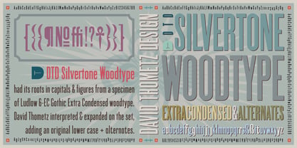 Silvertone Woodtype Font Poster 5
