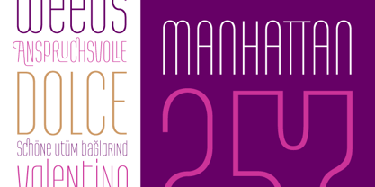 Regia Sans Pro Font Poster 8