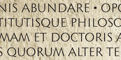 Lapidary Capitals Fuente Póster 2