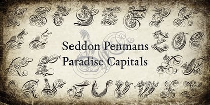 Seddon Penmans Paradise Capitals Font Poster 2