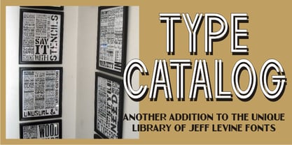 Type Catalog JNL Font Poster 1