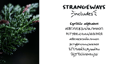 Strangeways Font Poster 6