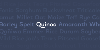 Quinoa Font Poster 6