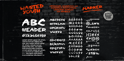 Wasted Youth Font Poster 4