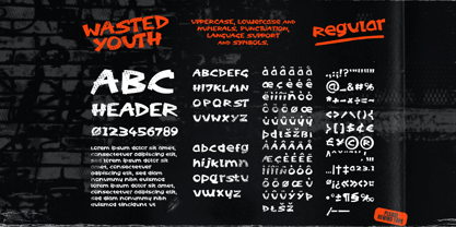 Wasted Youth Font Poster 3