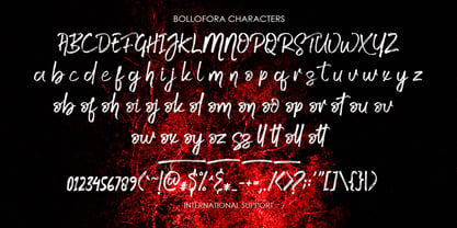 Bollofora Font Poster 6