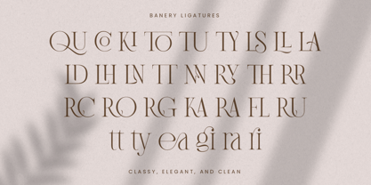 Banery Font Poster 14