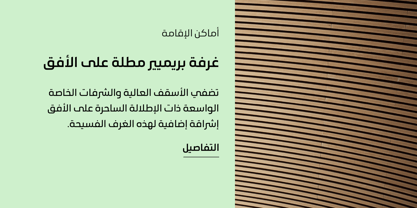 Orleen Arabic Font Poster 8