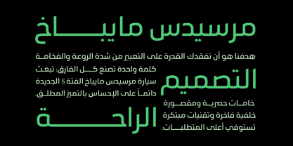 Orleen Arabic Font Poster 5