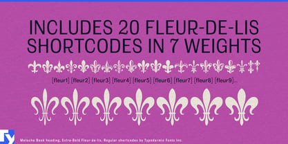Meloche Font Poster 2