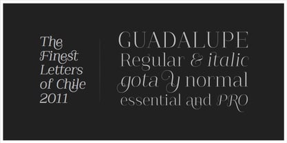 Guadalupe Font Poster 5
