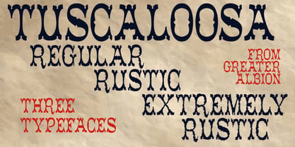 Tuscaloosa Font Poster 5