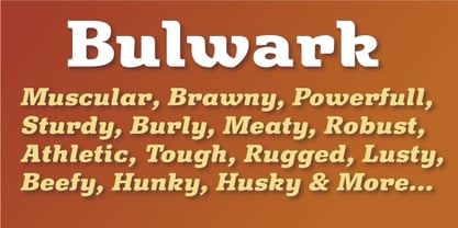 Bulwark Font Poster 1