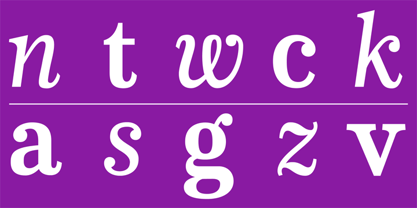 CA Normal Serif Font Poster 6