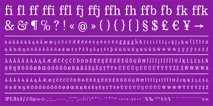 CA Normal Serif Font Poster 8