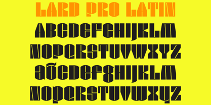 Lard Pro Font Poster 7