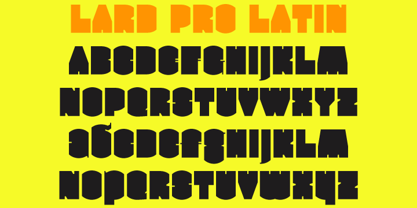 Lard Pro Font Poster 8