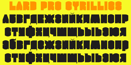 Lard Pro Font Poster 10