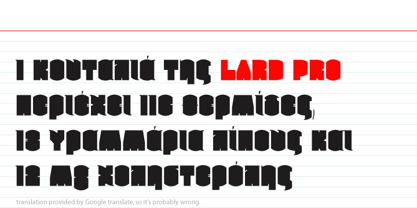 Lard Pro Font Poster 14