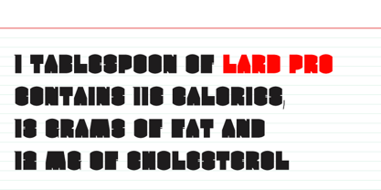 Lard Pro Font Poster 16