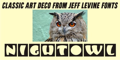 Nightowl JNL Font Poster 1