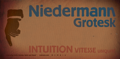 Niedermann Grotesk Font Poster 6