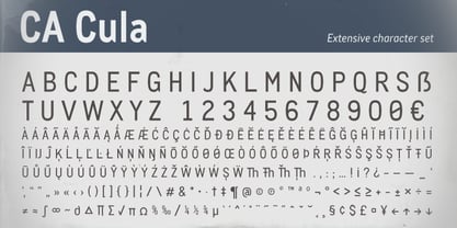 CA Cula Font Poster 9