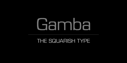 Gamba Font Poster 2