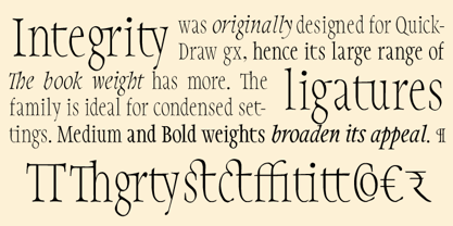 Integrity JY Pro Font Poster 1