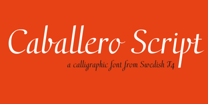 Caballero Script Font Poster 1