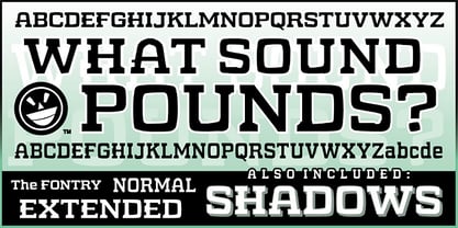 WHAT SOUND POUNDS? Font Poster 1