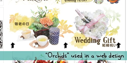 Orchids Font Poster 4