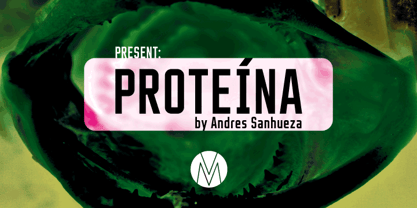 Proteina Font Poster 5