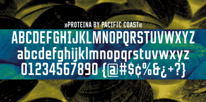 Proteina Font Poster 6