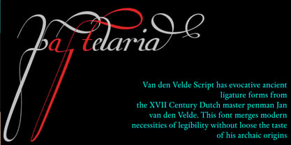 Van den Velde Script Fuente Póster 7