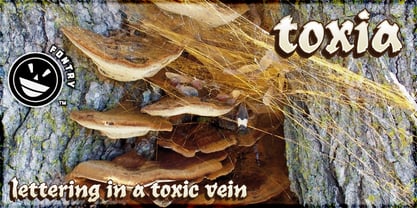 WILD1 Toxia Font Poster 2