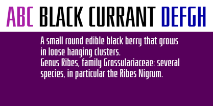 Black Currant Fuente Póster 2