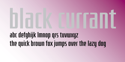 Black Currant Font Poster 1