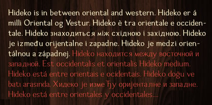 Hideko Font Poster 5