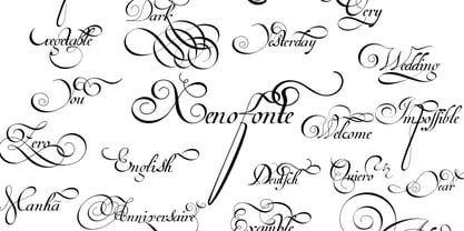 Van den Velde Script Font Poster 6