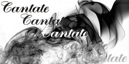 Cantate Font Poster 3
