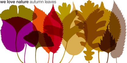 We Love Nature Autumn Leaves Fuente Póster 1