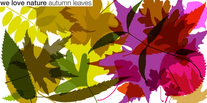 We Love Nature Autumn Leaves Font Poster 3