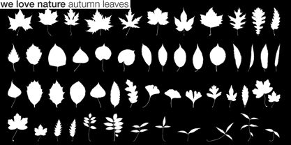 We Love Nature Autumn Leaves Font Poster 2