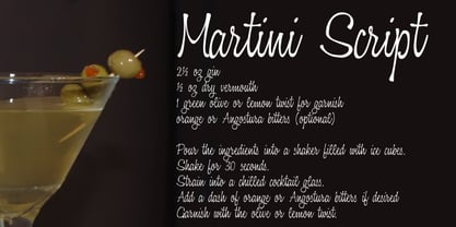 Martini Script Font Poster 2