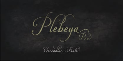 Plebeya Police Affiche 4