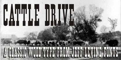Cattle Drive JNL Font Poster 1
