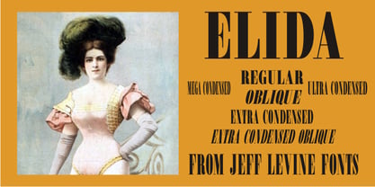 Elida JNL Font Poster 1