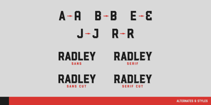 Radley Font Poster 8