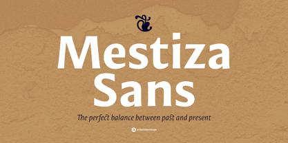 Mestiza Sans Font Poster 1